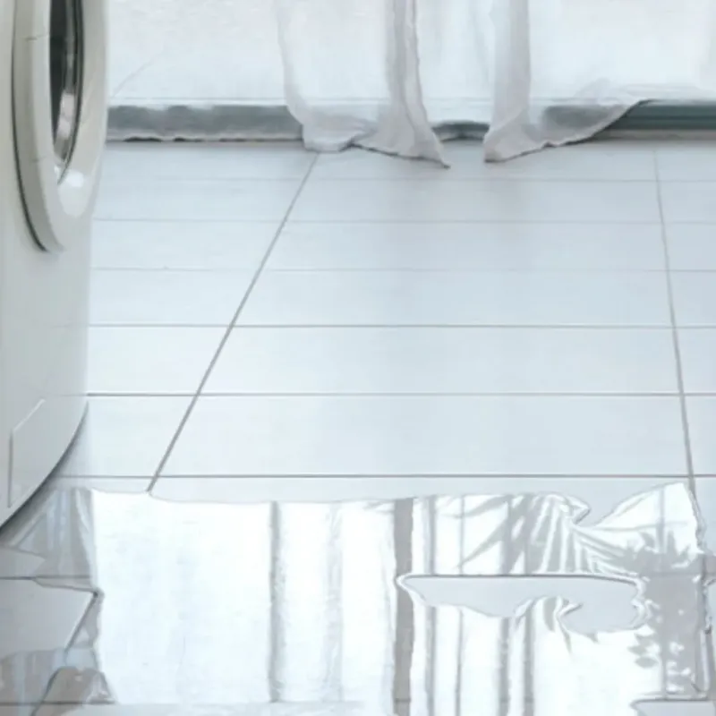 Appliance Leak Cleanup in Jefferson County, FL