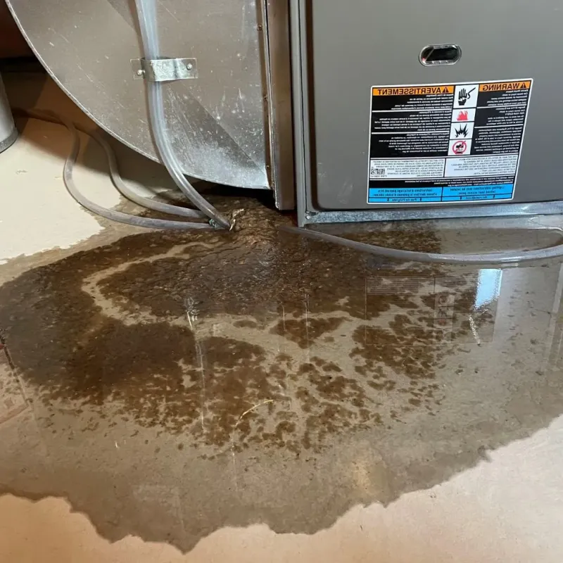 Pipe Burst and Leak Restoration in Jefferson County, FL
