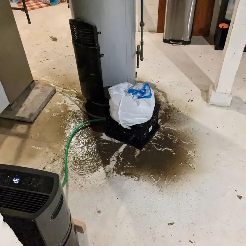Sewage Backup Cleanup Service in Jefferson County, FL